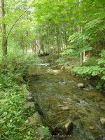 ELMWOOD PARK WATERFALLS ONONADAGA 6-14-2015_00019.JPG