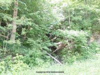 BUCKTAIL FALLS ONONADAGA 6-14-2015_00011.JPG