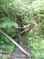 BUCKTAIL FALLS ONONADAGA 6-14-2015_00013.JPG