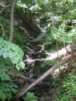 BUCKTAIL FALLS ONONADAGA 6-14-2015_00015.JPG