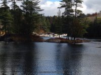 Double Drop IV Rapids Moose 10-17-2015_00001.JPG