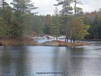 Double Drop IV Rapids Moose 10-17-2015_00007.JPG