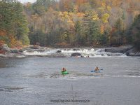 Double Drop IV Rapids Moose 10-17-2015_00011.JPG