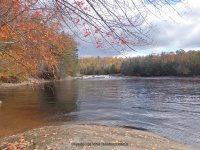 Double Drop IV Rapids Moose 10-17-2015_00012.JPG