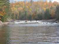 Double Drop IV Rapids Moose 10-17-2015_00013.JPG