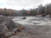 Double Drop IV Rapids Moose 10-17-2015_00024.JPG