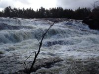 Fowlersville Lower Falls 10-17-2015_00001.JPG