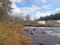 Fowlersville Lower Falls 10-17-2015_00019.JPG