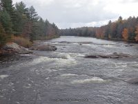 Fowlersville Bridge Rapids 10-17-2015_00024.JPG