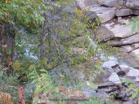 House Creek Falls 9-20-2015_00001.JPG