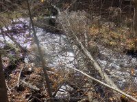 Fish Creek falls on (2) 10-18-2015_00004.JPG