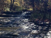 Gulf Creek Falls on 274C 10-11-2015_00004.JPG