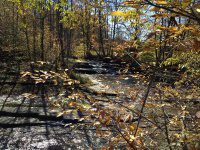 Gulf Creek Falls on 274C 10-11-2015_00006.JPG