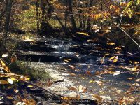 Gulf Creek Falls on 274C 10-11-2015_00007.JPG