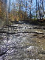 Gulf Creek Falls on 274C 10-11-2015_00013.JPG