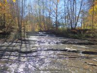 Gulf Creek Falls on 274C 10-11-2015_00015.JPG