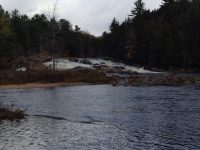Shurform IV Rapids Moose 10-18-2015_00001.JPG