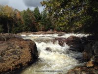 Shurform IV Rapids Moose 10-18-2015_00003.JPG