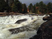 Shurform IV Rapids Moose 10-18-2015_00004.JPG