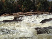 Shurform IV Rapids Moose 10-18-2015_00005.JPG