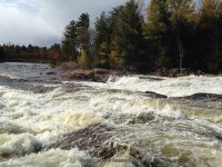 Shurform IV Rapids Moose 10-18-2015_00006.JPG