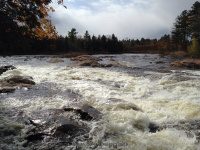 Shurform IV Rapids Moose 10-18-2015_00007.JPG