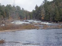 Shurform IV Rapids Moose 10-18-2015_00011.JPG