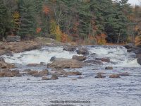 Shurform IV Rapids Moose 10-18-2015_00013.JPG