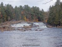 Shurform IV Rapids Moose 10-18-2015_00014.JPG