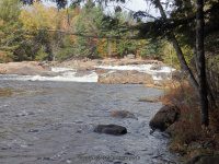 Shurform IV Rapids Moose 10-18-2015_00015.JPG