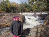 Shurform IV Rapids Moose 10-18-2015_00016.JPG