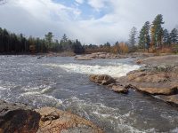 Shurform IV Rapids Moose 10-18-2015_00018.JPG