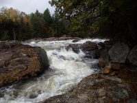Shurform IV Rapids Moose 10-18-2015_00019.JPG
