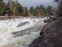 Shurform IV Rapids Moose 10-18-2015_00020.JPG