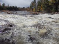 Shurform IV Rapids Moose 10-18-2015_00021.JPG