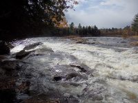 Shurform IV Rapids Moose 10-18-2015_00022.JPG
