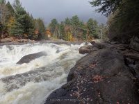 Shurform IV Rapids Moose 10-18-2015_00023.JPG