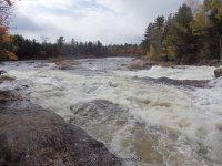 Shurform IV Rapids Moose 10-18-2015_00026.JPG