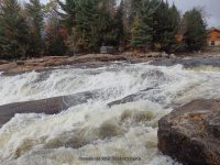 Shurform IV Rapids Moose 10-18-2015_00027.JPG