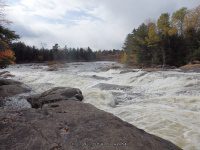Shurform IV Rapids Moose 10-18-2015_00028.JPG