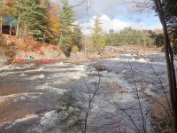 Powerline III Rapids Moose 10-17-2015_00001.JPG