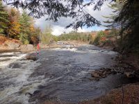Powerline III Rapids Moose 10-17-2015_00002.JPG
