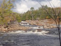 Powerline III Rapids Moose 10-17-2015_00004.JPG