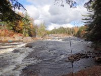 Powerline III Rapids Moose 10-17-2015_00005.JPG