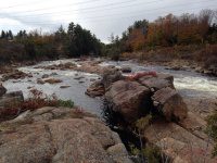Powerline III Rapids Moose 10-18-2015_00001.JPG