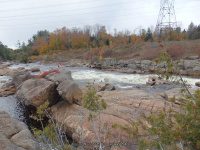 Powerline III Rapids Moose 10-18-2015_00004.JPG