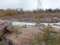 Powerline III Rapids Moose 10-18-2015_00005.JPG