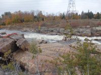Powerline III Rapids Moose 10-18-2015_00008.JPG