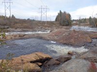 Powerline III Rapids Moose 10-18-2015_00009.JPG