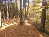 Singing Waters Park Falls 10-18-2015_00009.JPG